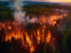 New approach: Multiple swarms of drones to tackle natural disasters like forest fires