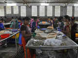 India has robust regulatory, safety framework for seafood units: Commerce min