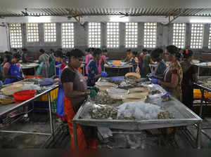 Highlights from the AP's reporting on the shrimp industry in India