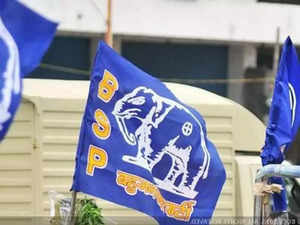 BSP flag