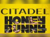 'Citadel: Honey Bunny': Detailed cast, plot overview, release date for Samantha-Varun Dhawan's OTT series