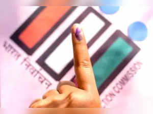 LS Polls: Two candidates in Rajasthan file nominations on Day 1