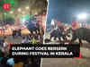 Elephant goes berserk during festival at Tharakkal temple in Thrissur, leaves several injured