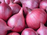 Government to begin procurement of 5 lakh tonnes of rabi onion in 2-3 days to protect farmers' interest