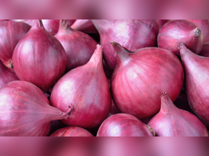 Onion Export Ban, India's Onion Export, Restricted Exports, Exporting Agency, Permitted Countries, Onion Export Ban, Export Duty, Minimum Export Price, Onion Price Inflation, Price Crash, Farmer Protests, Inflation Concerns, Government Review.