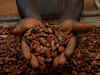Cocoa futures set record high, coffee and sugar also up