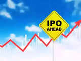 From Tata Capital to Bigbasket: Tata Group plans 8 mega IPOs in bonanza for investors