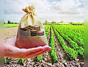 Crop Diversification to Fetch Farmers MSP for Pulses, Cotton