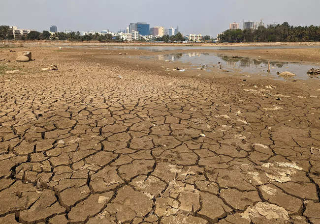 Amid water crisis in Bengaluru, temperature crosses 40 degree across Karnataka. IMD issues heat alert for next 3 days