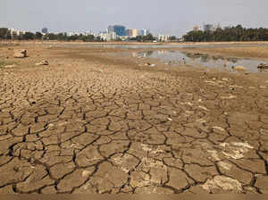 FILE PHOTO: A view shows parched banks of Nallurahalli Lake, in Bengaluru