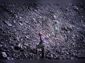 Coal India to Bid for Three Critical Mineral Blocks (1).