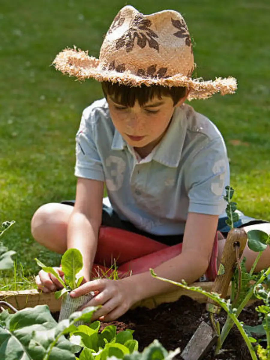 Vegetables best suited to grow at home in summers - Vimarsana News