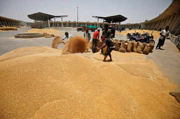 Wheat stock declaration requirement extended indefinitely