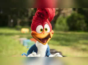 Woody Woodpecker Goes to Camp: See what you may want to know about release date, streaming platform, cast, trailer and more