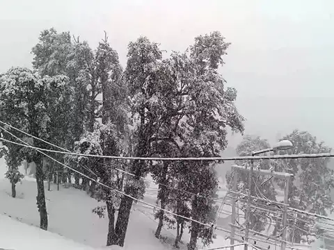 22 cm of snow