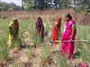 Jobs generated under MGNREGS up 4.8%