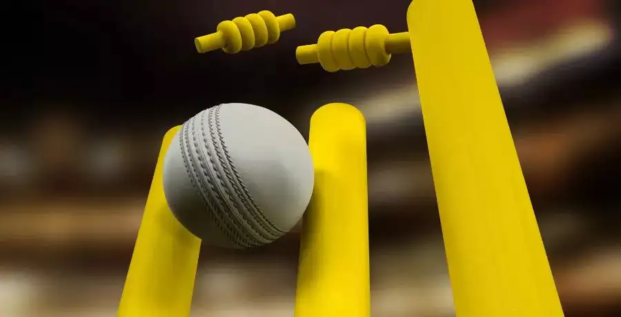 Only 3 bowlers have taken 6-wicket hauls in IPL history: See list - Vimarsana News