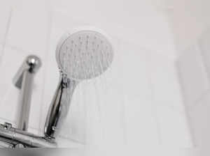 Best Hindware Shower Heads