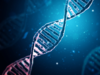 New research reveals six genes dictate personality traits and health outcomes