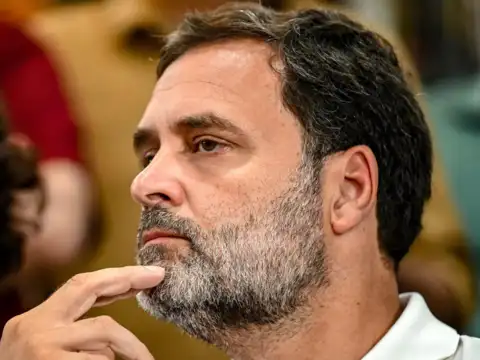 Rahul Gandhi's wealth declaration 