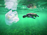 Ocean floor 'reservoir' of plastic pollution, study finds