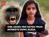 UP girl narrates how she saved her sister and herself from monkeys by using Alexa