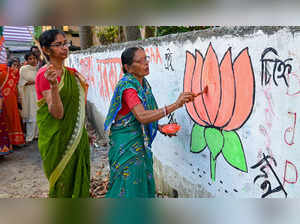 Nadia: A BJP supporter paints party's logo on a wall, ahead of the Lok Sabha ele...