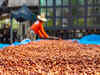 Brazil cocoa farms go high-tech to upgrade ailing market