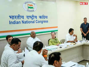 Congress release candidate name for CG lok Sabha Seats