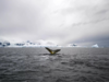 Escalating temperature in Antarctica sparks global concern for climate change