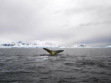 Escalating temperature in Antarctica sparks global concern for climate change
