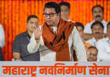I extend unconditional support to NDA for Modi: MNS chief Raj Thackeray