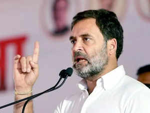 Rahul Gandhi slams BJP, says history doesn't change by "spewing lies" from political platforms