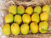 Konkan Ratnagiri Bhoomi Agro Producer co launches Aamoré: A new D2C brand of Alphonso mangoes