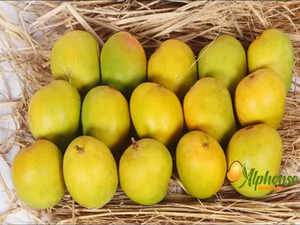 Summer Delights Delivered: Experience Ratnagiri and Devgad Alphonso Mangoes at Your Doorstep