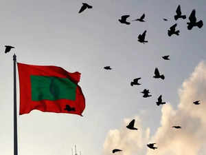 Maldives: Parliamentary proceedings halted as opposition MPs engage in fight