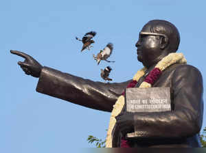 New Delhi: Birds at the statue of BR Ambedkar, at Parliament House complex, in N...