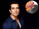 Swiggy shoe theft saga: Sonu Sood's remarks on delivery executive sparks social media backlash; here's what he said