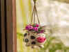 10 Stylish Hanging Planters to Add a Touch of Green to Your Home