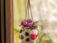 10 Stylish Hanging Planters to Add a Touch of Green to Your Home