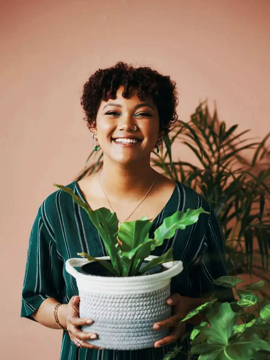 10 Indoor Plants To Humidify Dry Air NewsPoint