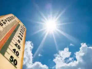 'India sees 30% rise in heat stress over 40 yrs':Image