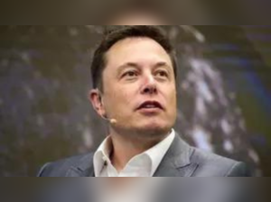 'Support reforms to UN institutions': US on Elon Musk's remarks on India's permanent UNSC seat:Image