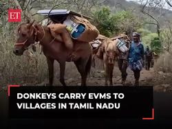Tamil Nadu: Donkeys carry EVMs to villages in the Natham area of Dindigul district, ahead of LS elections