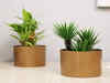 Best flower pots for home: Elevate your spaces with these top picks