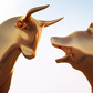 Banking & financials lift Sensex 599 points higher despite IT selloff