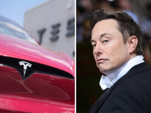 Tesla's Elon Musk postpones India trip:Image