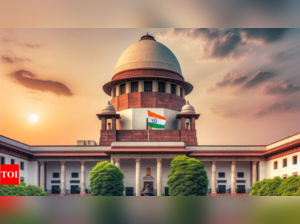 From Ponnuswami case to Electoral Bond verdict: How the Supreme Court shaped India's democracy:Image