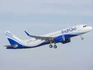 'India becoming a convenient hub for travel between SE Asia & Middle East': IndiGo Chairman:Image