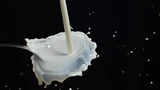 Karnataka Milk Federation to sponsor Ireland, Scotland cricket teams